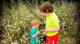 The Child Behind the Paperwork – Finding Cooper’s Voice